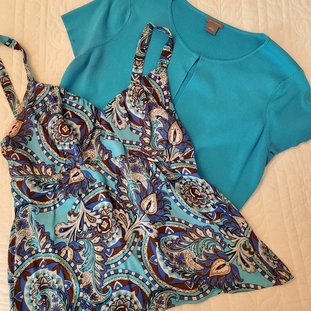 Ann Taylor top with sweater